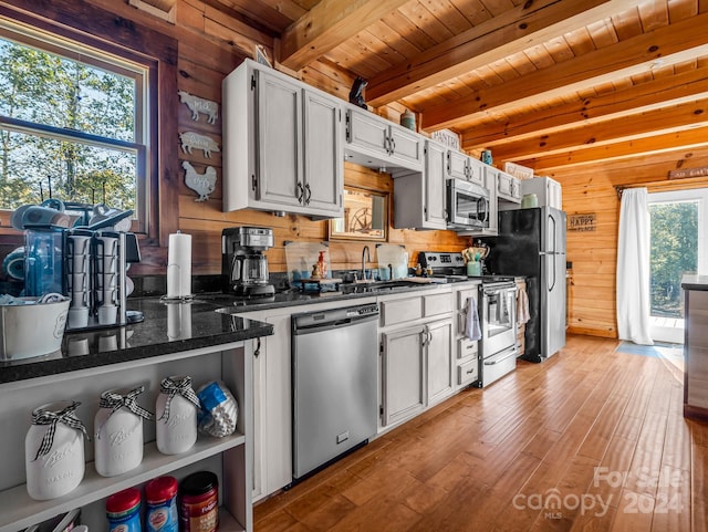 kitchen with a healthy amount of sunlight, appliances with stainless steel finishes, sink, and wood walls