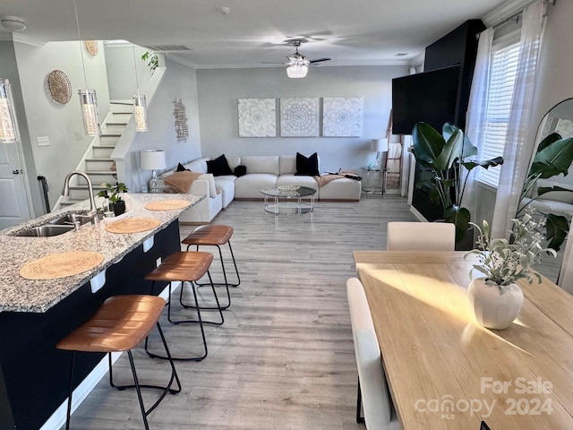 interior space featuring light hardwood / wood-style floors, crown molding, sink, and ceiling fan