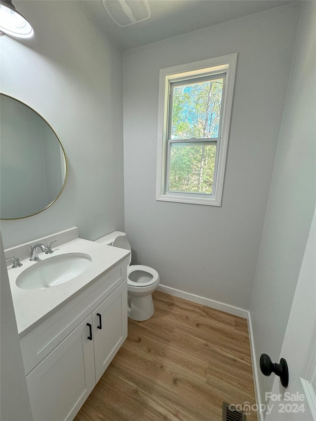 bathroom with vanity, wood-type flooring, and toilet