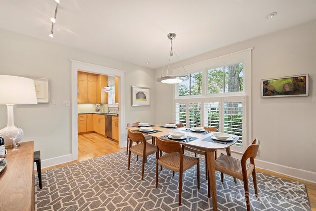 dining room featuring track lighting, sink, and light hardwood / wood-style flooring