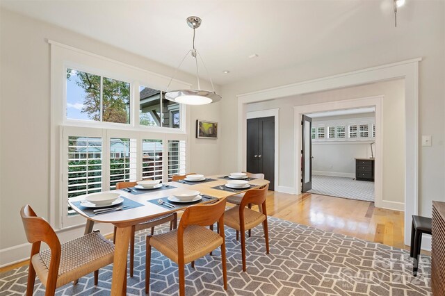 dining room featuring wood-type flooring