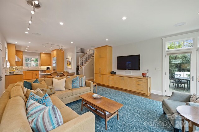 living room featuring plenty of natural light, rail lighting, and sink