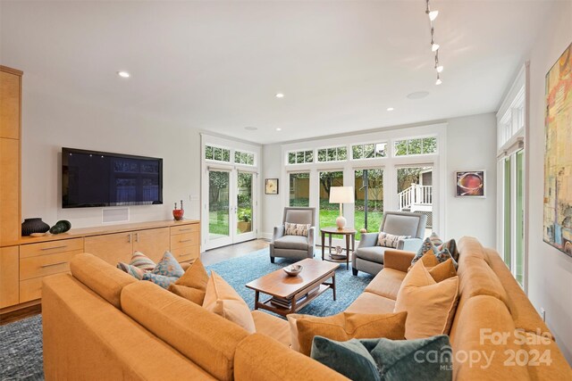 living room with rail lighting and a healthy amount of sunlight