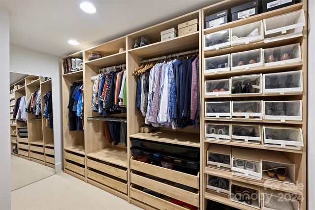 spacious closet with carpet floors