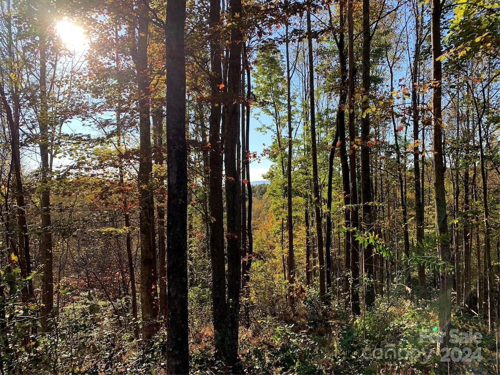 1483 Round Mountain Pkwy Unit 59, Lenoir, NC 28645