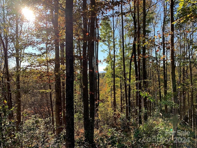 1483 Round Mountain Pkwy Unit 59, Lenoir, NC 28645