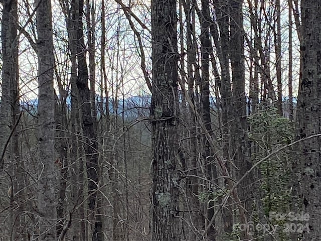 1483 Round Mountain Pkwy Unit 59, Lenoir, NC 28645
