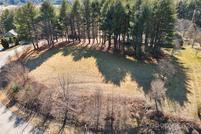 Listing photo 3 for LOT33 Dover Ln Unit 33, Brevard NC 28712