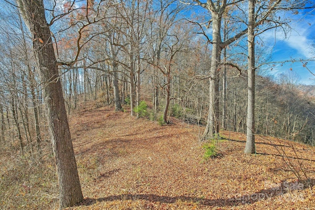 331 Silent Forest Dr, Canton NC, 28716 land for sale