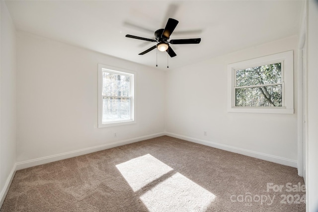 carpeted spare room with a wealth of natural light and ceiling fan