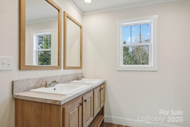 bathroom featuring wood-type flooring, vanity, and crown molding