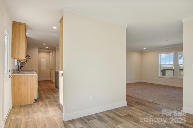 interior space featuring hardwood / wood-style floors, crown molding, and sink