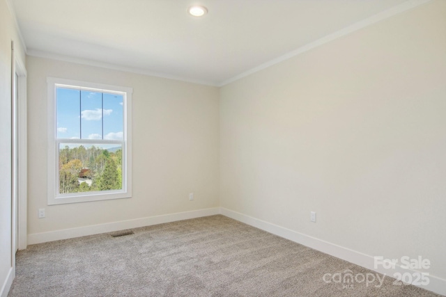 carpeted spare room with ornamental molding