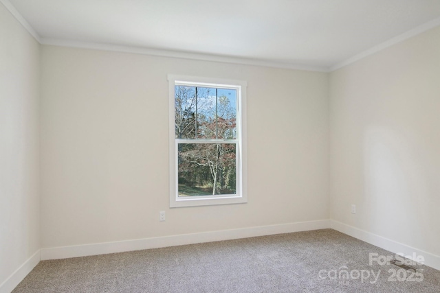 carpeted spare room with crown molding