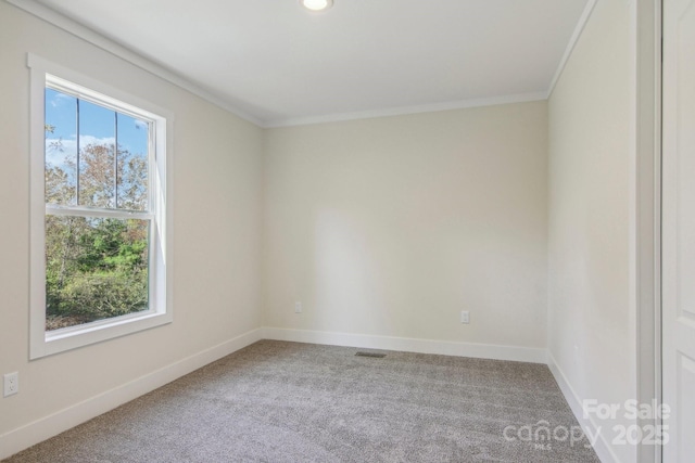 spare room with carpet and ornamental molding