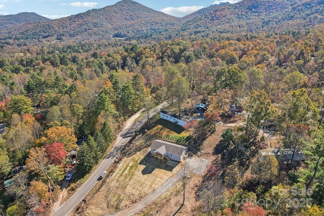 drone / aerial view featuring a mountain view