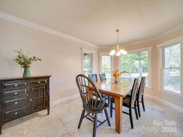 dining room featuring crown molding, a textured ceiling, and a healthy amount of sunlight