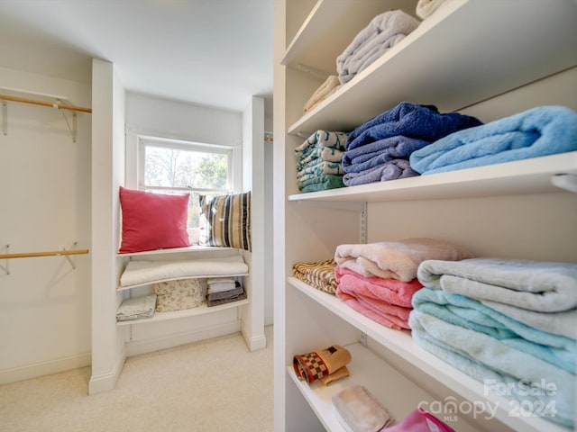 spacious closet with light colored carpet