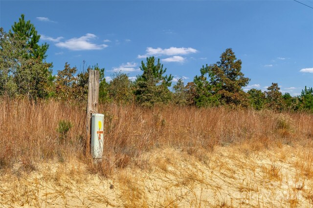 0000 Riley Rd Unit 2, Chesterfield, SC 29709 - photo 22