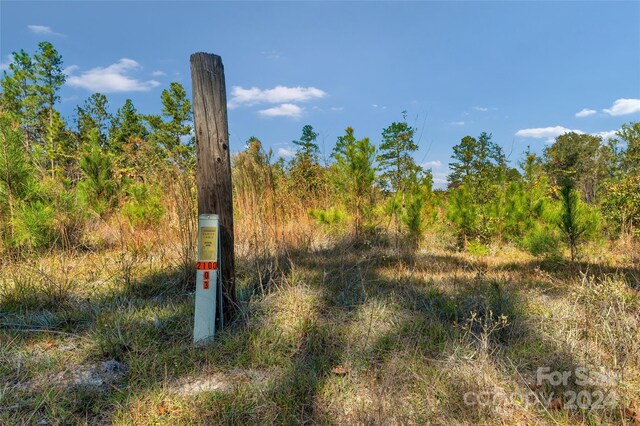 0000 Riley Rd Unit 2, Chesterfield, SC 29709 - photo 23