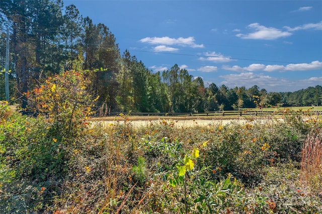 0000 Riley Rd Unit 2, Chesterfield, SC 29709 - photo 8
