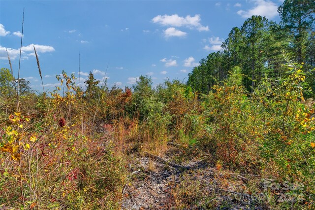 0000 Riley Rd Unit 2, Chesterfield, SC 29709 - photo 10