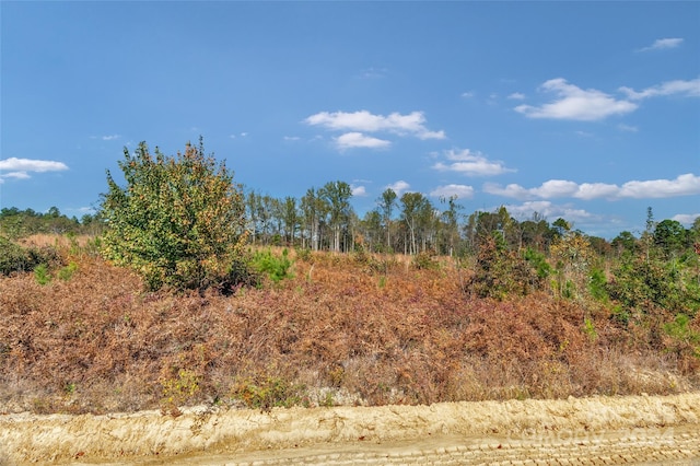 0000 Riley Rd Unit 2, Chesterfield, SC 29709 - photo 11