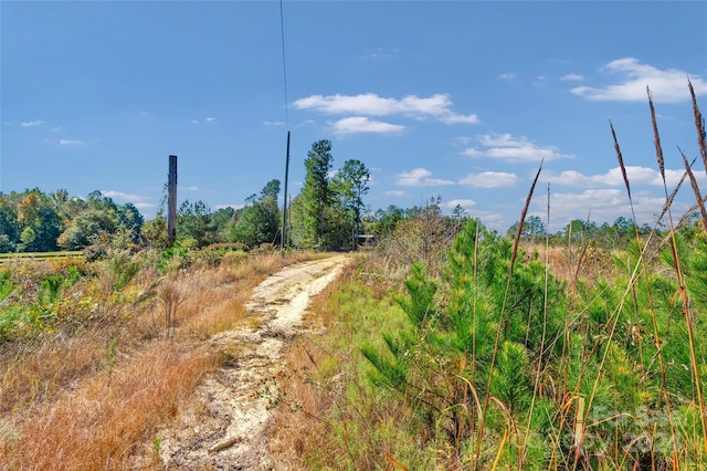 0000 Riley Rd Unit 2, Chesterfield, SC 29709 - photo 13