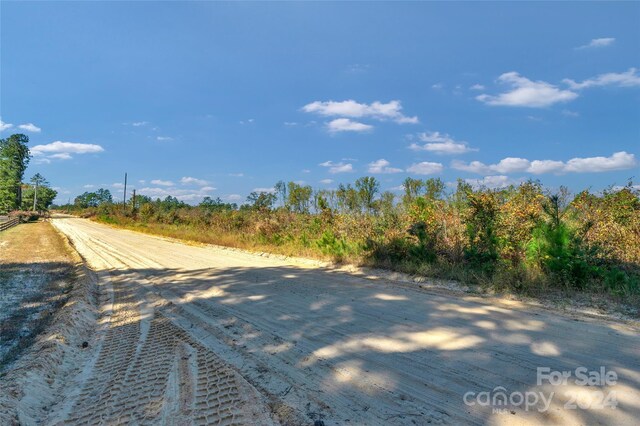 0000 Riley Rd Unit 2, Chesterfield, SC 29709 - photo 17