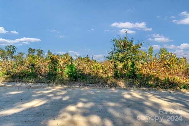0000 Riley Rd Unit 2, Chesterfield, SC 29709 - photo 19