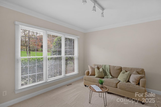 carpeted living room with crown molding and track lighting