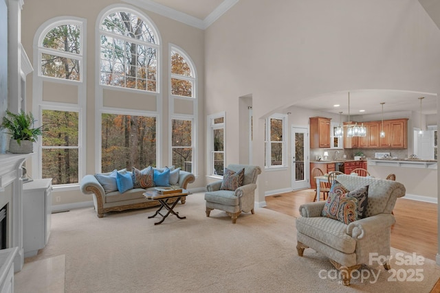 living room featuring a healthy amount of sunlight, a high ceiling, and ornamental molding