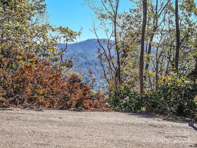 LOTS2, 135ANDPT136 High Bluff Dr, Weaverville NC, 28787 land for sale