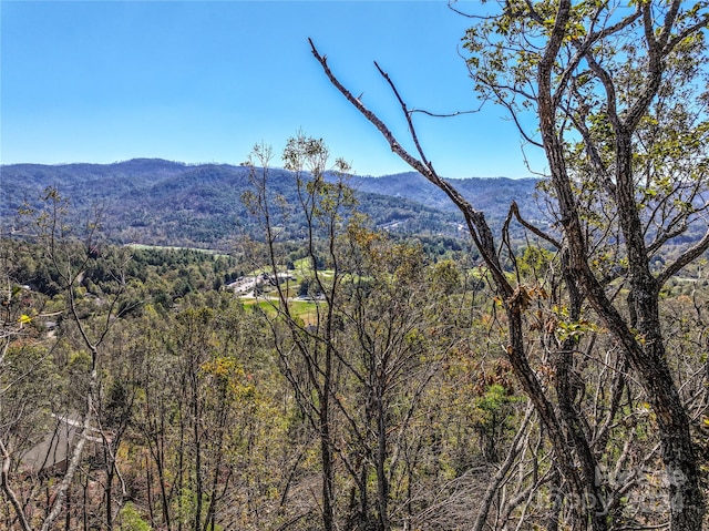 Listing photo 3 for LOTS2, 135ANDPT136 High Bluff Dr, Weaverville NC 28787