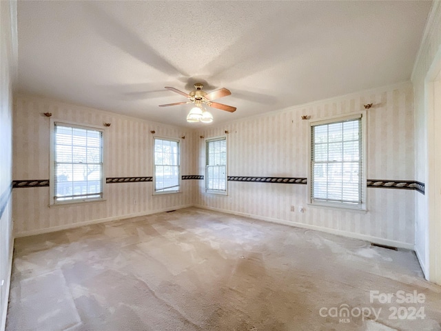 carpeted spare room featuring crown molding, a healthy amount of sunlight, and a textured ceiling