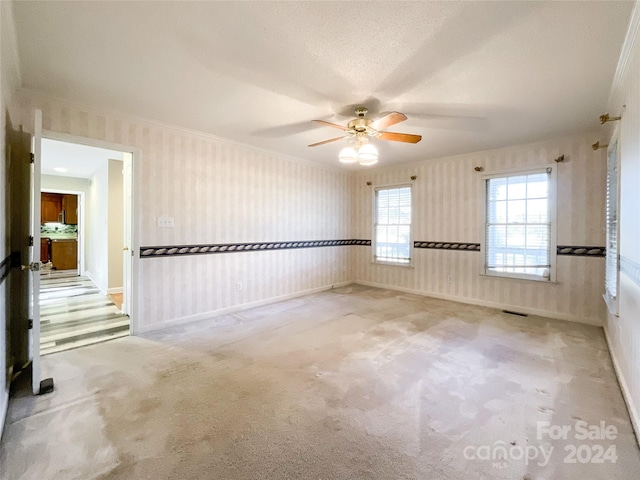 spare room with light carpet, ornamental molding, a textured ceiling, and ceiling fan