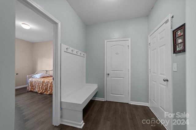 mudroom featuring dark hardwood / wood-style floors