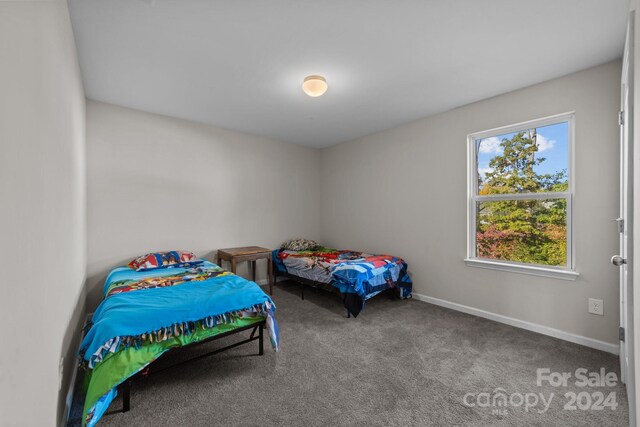 bedroom with carpet