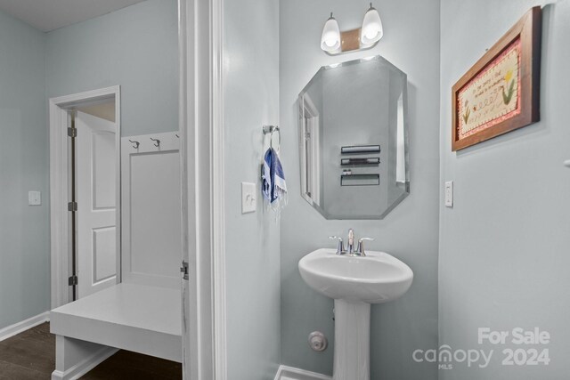 bathroom with hardwood / wood-style floors and sink