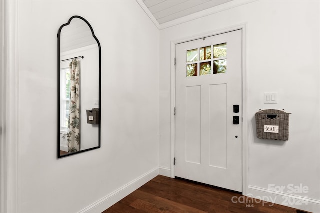 foyer with dark wood-type flooring