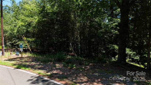 181 Asbury Cir, Mooresville, NC 28117 - photo 30