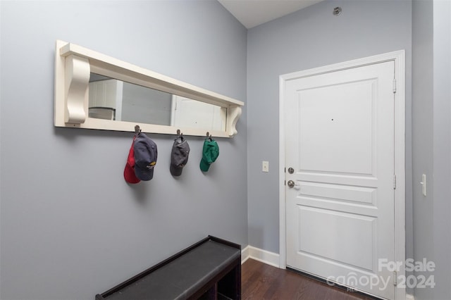 mudroom with dark hardwood / wood-style floors