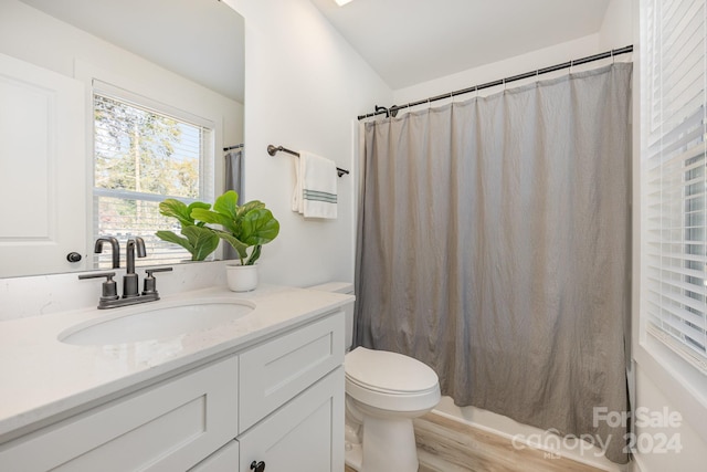 bathroom with hardwood / wood-style floors, vanity, and toilet