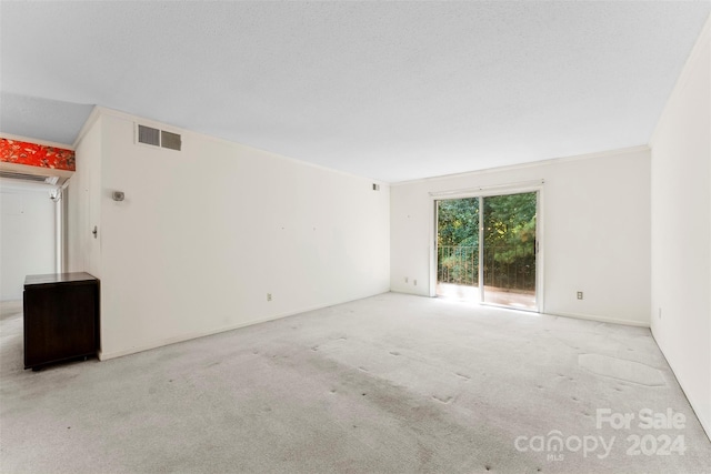 spare room with ornamental molding, a textured ceiling, and light colored carpet