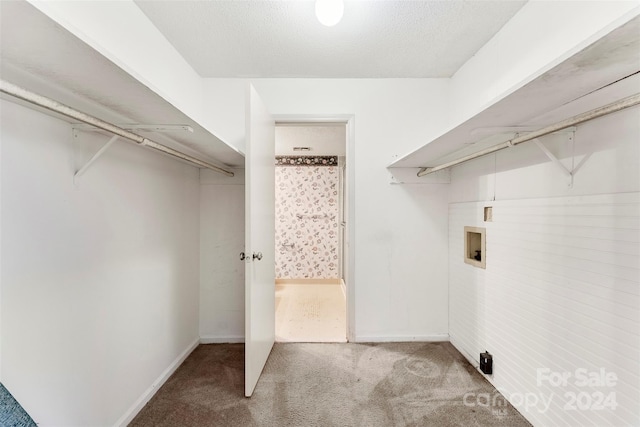 clothes washing area featuring a textured ceiling, washer hookup, and carpet