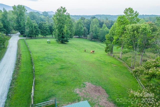 bird's eye view featuring a mountain view and a rural view