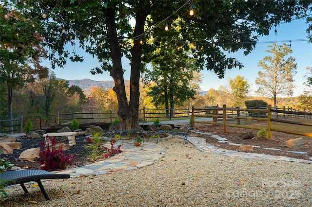 view of yard featuring a mountain view and a rural view