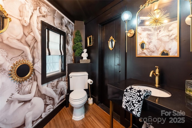 bathroom with sink, hardwood / wood-style flooring, and toilet