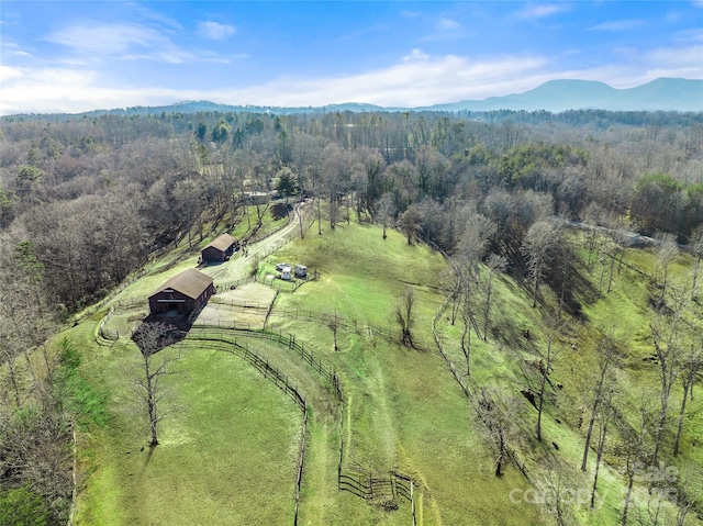 birds eye view of property with a mountain view and a rural view