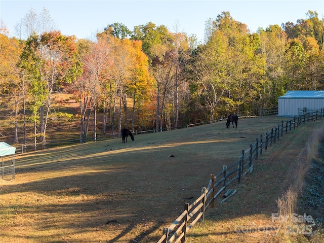 view of yard featuring a rural view